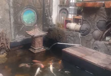 Tips Merawat Kolam Ikan di dalam Rumah