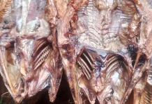 Membuat Ikan Asin Sungai