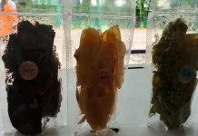 Usaha Kripik Pisang Belapis