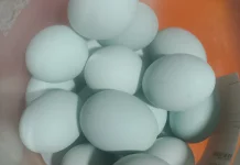 Cara Mudah dan Cepat Membuat Telur Asin
