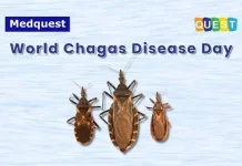 Tingkatkan Kesadaran Global terhadap Infeksi Parasit