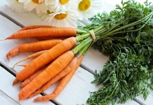 Manfaat Daun Wortel yang Luar Biasa