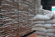 Tidak Perlu Khawatir,Bulog Jambi Yakinkan Stok Beras Mencukupi Tiga Bulan Kedepan