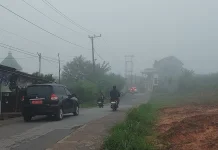 Embun Pagi Terasa Lebih Pekat, Ini Penyebab dan Kaitannya dengan Musim Kemarau