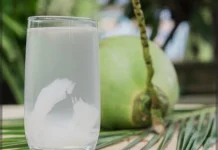 Minum Air Kelapa saat Cuaca Panas