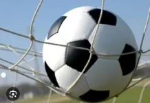 Istilah Bola Berbentuk bundar