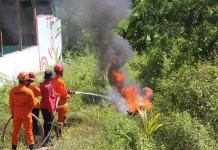 Orang Rimba Dilibatkan dalam Penanganan Karhutla