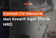 Buat HRD Terkesan, Dengan CV menarik