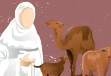 Hukum Menyembelih Hewan Qurban Bagi Wanita