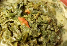 Gulai Santan Sayur Pakis