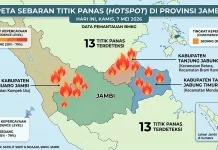 Waspada Karhutla, BMKG Jambi Deteksi 13 Titik Panas di Tiga Kabupaten