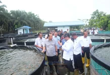 Bupati Muaro Jambi Tinjau BPBAT Sungai Gelam