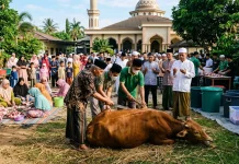 Makna Filosofis Ibadah Qurban