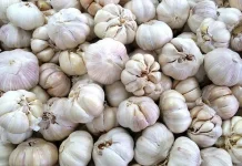 Bahan Alami untuk Meredakan Gejala Asma