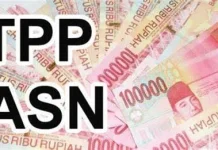 Pemprov Jambi Pastikan TPP ASN  Tidak Terkendala