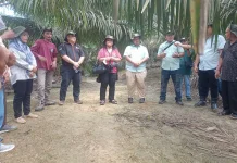 Menyaksikan Langsung Kesuksesan Mitra Petani Sawit Asian Agri