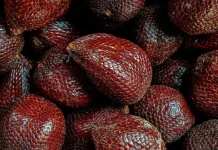 Mitos dan Fakta tentang Salak Menyebabkan Sembelit