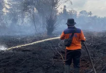 Sejumlah Kecamatan di Tanjab Barat Masuk Zona Rawan Karhutla