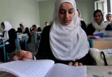 Konstitusi Mesir Menjamin Hak Pendidikan Gratis bagi Warganya