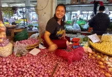 Pemprov Jambi Yakini Neraca Pangan Masih Aman