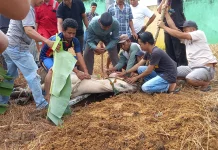 Disnak Sarolangun Imbau jaga Higienis & Sanitasi Tempat Pemotongan Hewan Kurban
