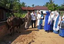 BKMT Jambi dan Posyandu Serahkan Hewan Kurban di Desa Tangkit dan Kel Kasang