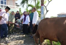 Hewan Kurban dari BKMT Disambut Baik Warga