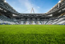 Macam-Macam Rumput yang Digunakan untuk Lapangan Sepak Bola