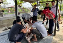 Idul Adha, Lapas Muara Bulian Bagikan Daging 4 Sapi Kurban
