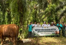 Wabup A. Khafidh Serahkan Sapi Kurban Bantuan Presiden di Empang Benao