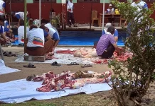 Disnak Sarolangun Belum Temukan Ada Penyakit pasca Pemotongan Hewan Kurban