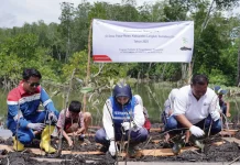 PALUH ASRI: Transformasi Dapur Arang Menjadi Kawasan Kaya Keanekaragaman Hayati