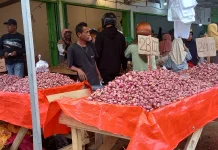 Tidak Perlu Khawatir, Petugas Sensus Ekonomi Dilengkapi Atribut Resmi