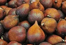 Manfaat Buah Salak Baik Dikonsumsi Ibu Hamil
