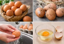 Perlu di Perhatikan Mencuci Telur sebelum Dimasak