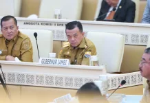 Raker RDP dan RDPU Bersama Komisi II DPR RI, Gubernur  Perjuangkan Nasib P3K