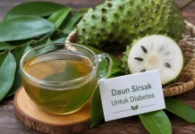 Daun Sirsak dalam Membantu Mengendalikan Gula Darah