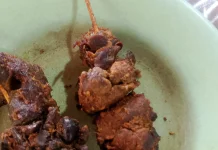 Sate Hati Ampela Ayam Bumbu