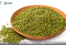 Kacang Hijau Sumber Gizi Tinggi Protein