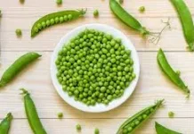 Kacang Hijau Organik Memiliki Nilai Jual Tinggi