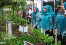 Hesti Haris Kunjungi Rumah Dilan Bumi Talenta di Desa Pauh Pamenang