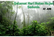 Hari Hutan Hujan Sedunia