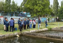 Desa Lopak Alai Jambi Siap Jadi Sentra Pembibitan Patin