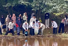 UIN STS Jambi Tebar 500 Bibit Gurami