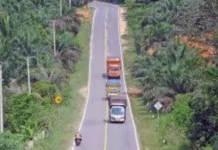 Presiden Instruksikan agar Jalan Daerah Diperlebar Menjadi 8 Meter