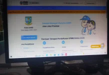 Kuota Prestasi hingga Mutasi Tak Penuh, Jalur Domisili Berpotensi Bertambah