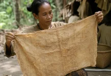 Kain Kulit Kayu Terap: Warisan Tradisional Suku Anak Dalam