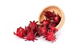 Bunga Rosella untuk Kesehatan