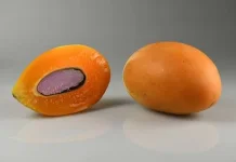 Mengenal buah Gandaria
