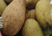 Menjelajahi Keunikan Buah Wanyi asal Kalimantan
